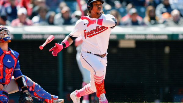 革的新方向 革的新方向